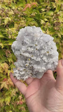 Load and play video in Gallery viewer, UV Reactive Calcite on Quartz Specimen with Chalcopyrite and Rhodochrosite
