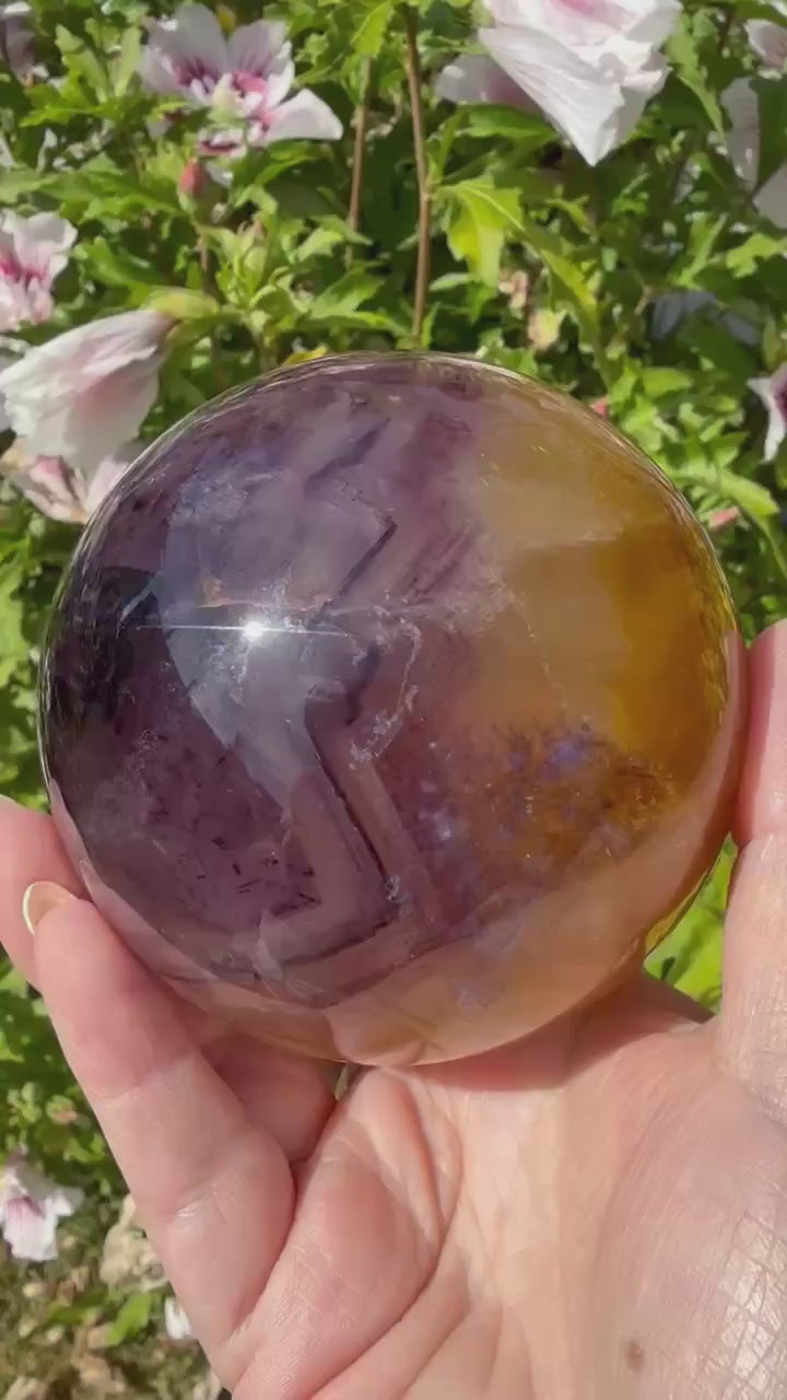Quality Purple and Yellow Fluorite Sphere 8.4cm Dia