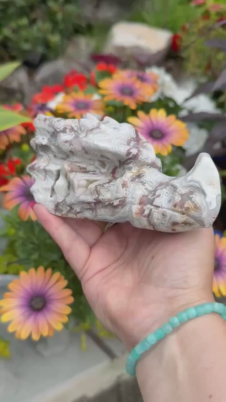 Druzy Crazy Lace Agate Dragon Head Carving