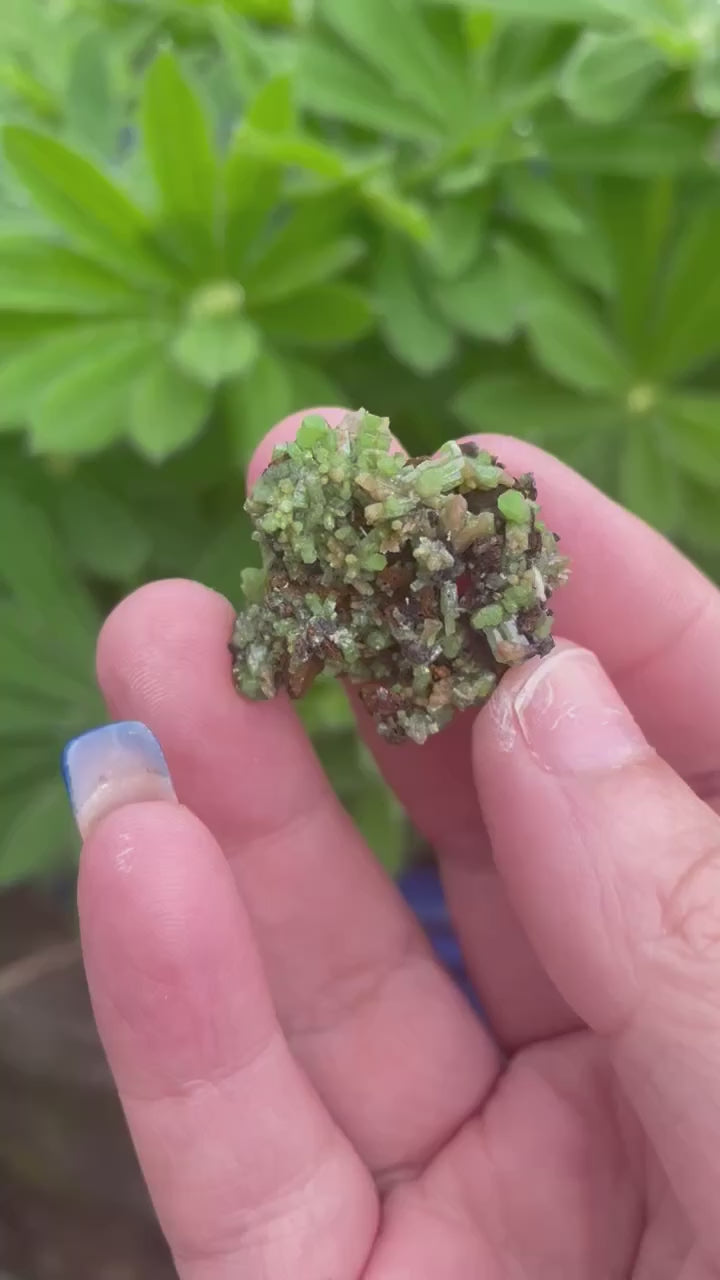 Pyromorphite Specimen