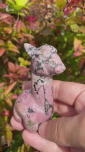 Load and play video in Gallery viewer, Rhodonite Llama
