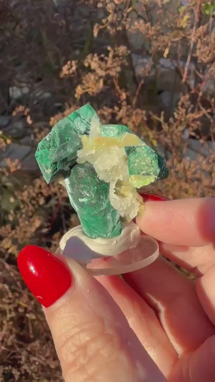 Malachite Pseudomorph After Azurite from Tsumeb