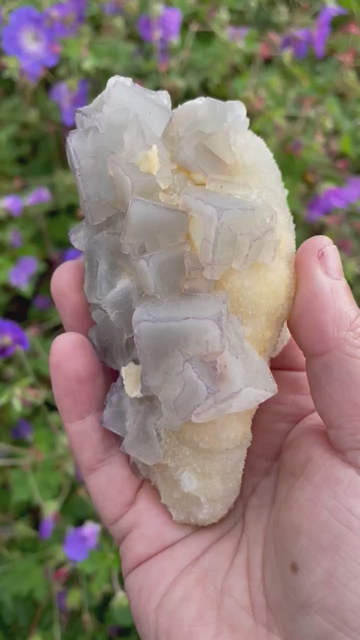 Bicolour Cubic Fluorite on Calcite Specimen