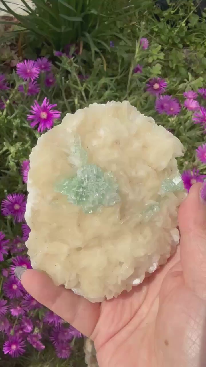 Rare Disco Ball Green Apophylite Specimen from India