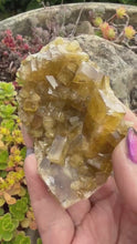 Load and play video in Gallery viewer, Golden Baryte Barite Specimen from Jiangxi

