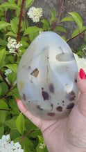 Load and play video in Gallery viewer, Extra Large Druzy Dendritic Agate Freeform
