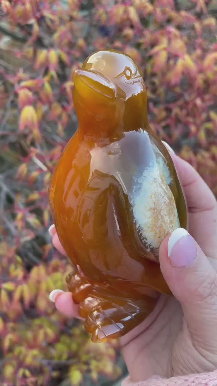 Large Druzy Agate Penguin Carving