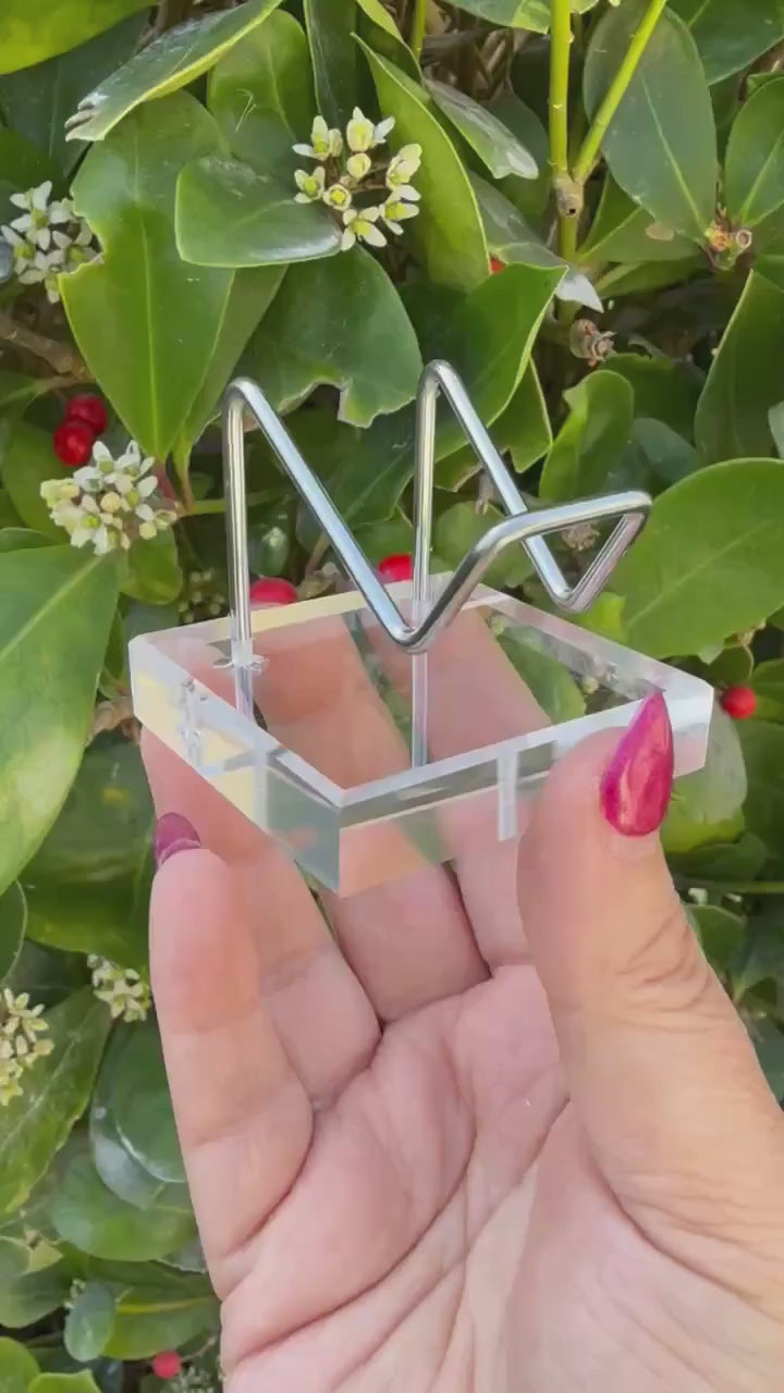 Heart or Specimen Stand Holder