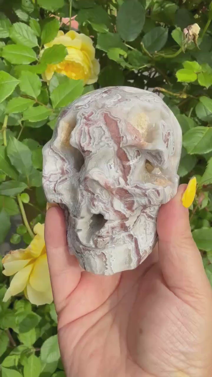 Mexico Crazy Lace Agate Skull Carving