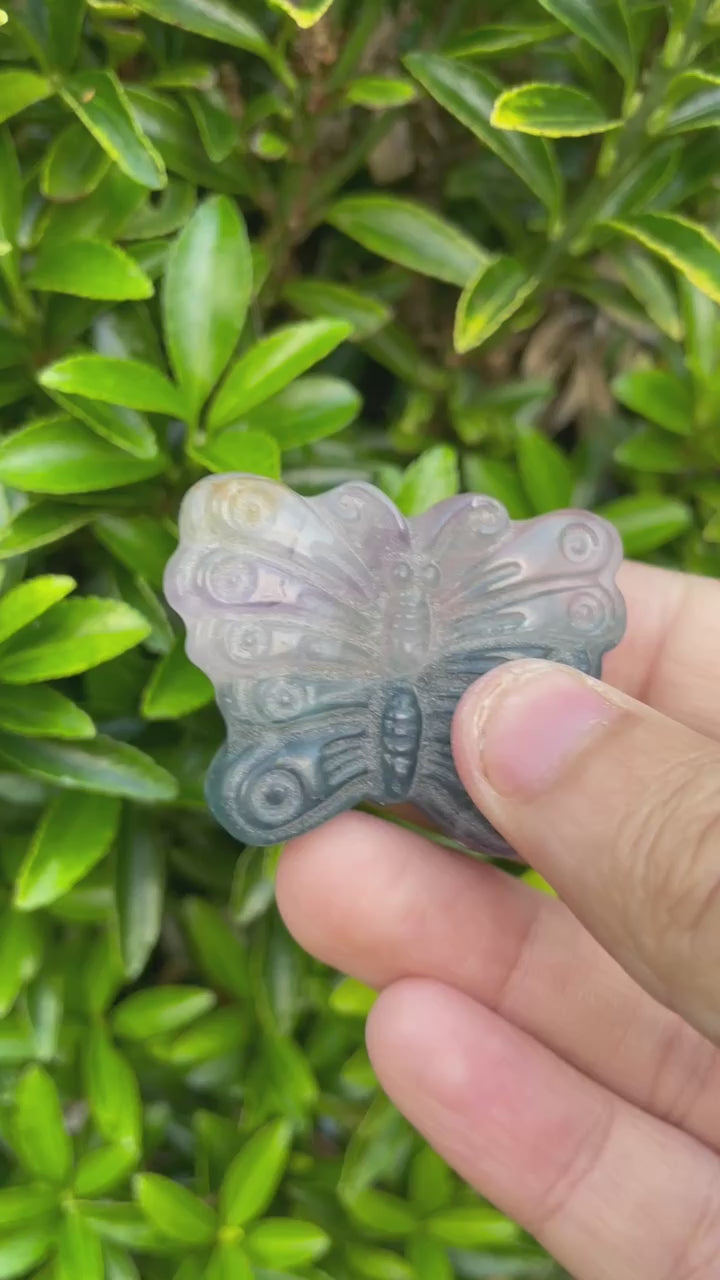 Fluorite Butterfly