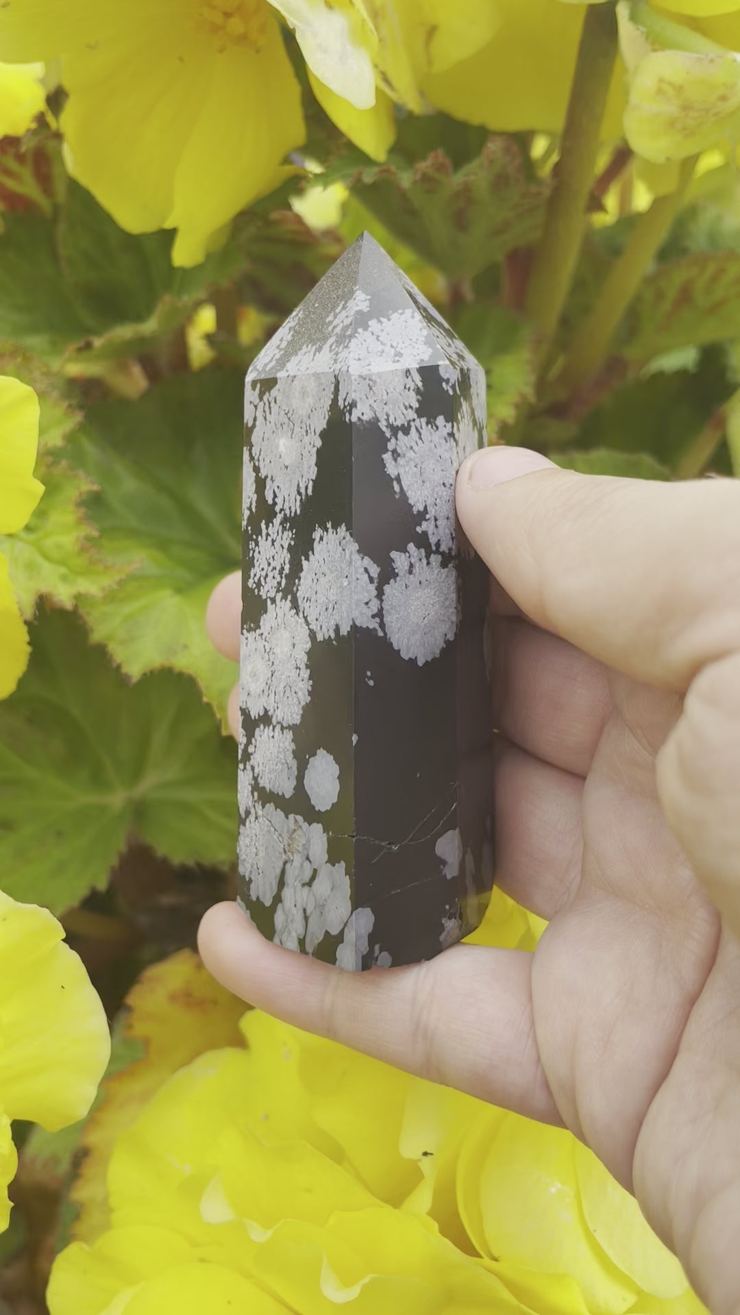 Snowflake Obsidian Tower