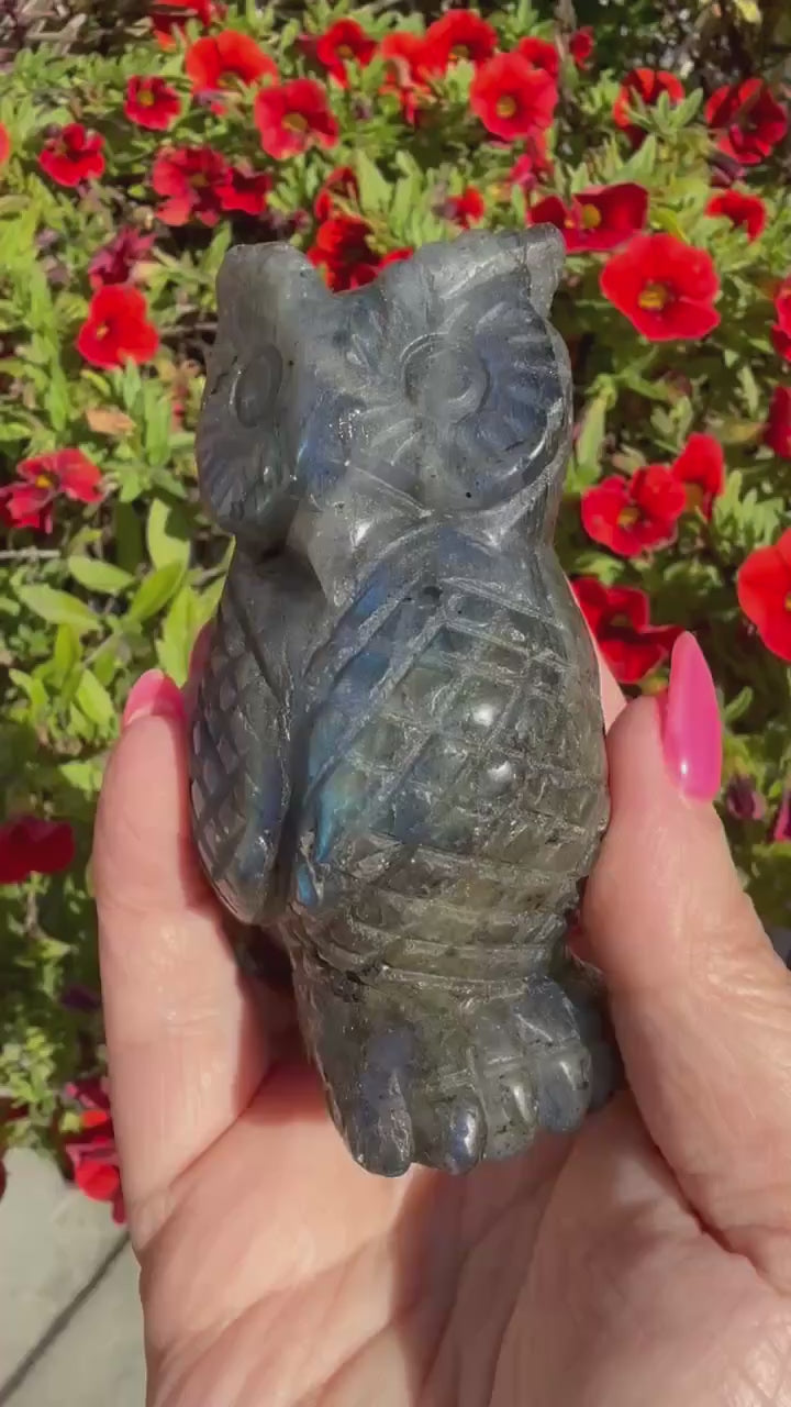 Blue Flash Labradorite Owl Carving from Madagascar