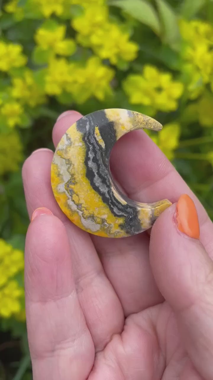 Bumblebee Jasper Moon