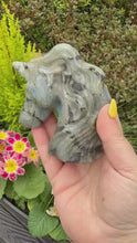 Load and play video in Gallery viewer, Labradorite Unicorn Carving

