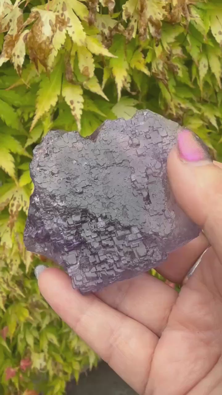 Uv reactive stepped Purple Fluorite from Xinjiang, China