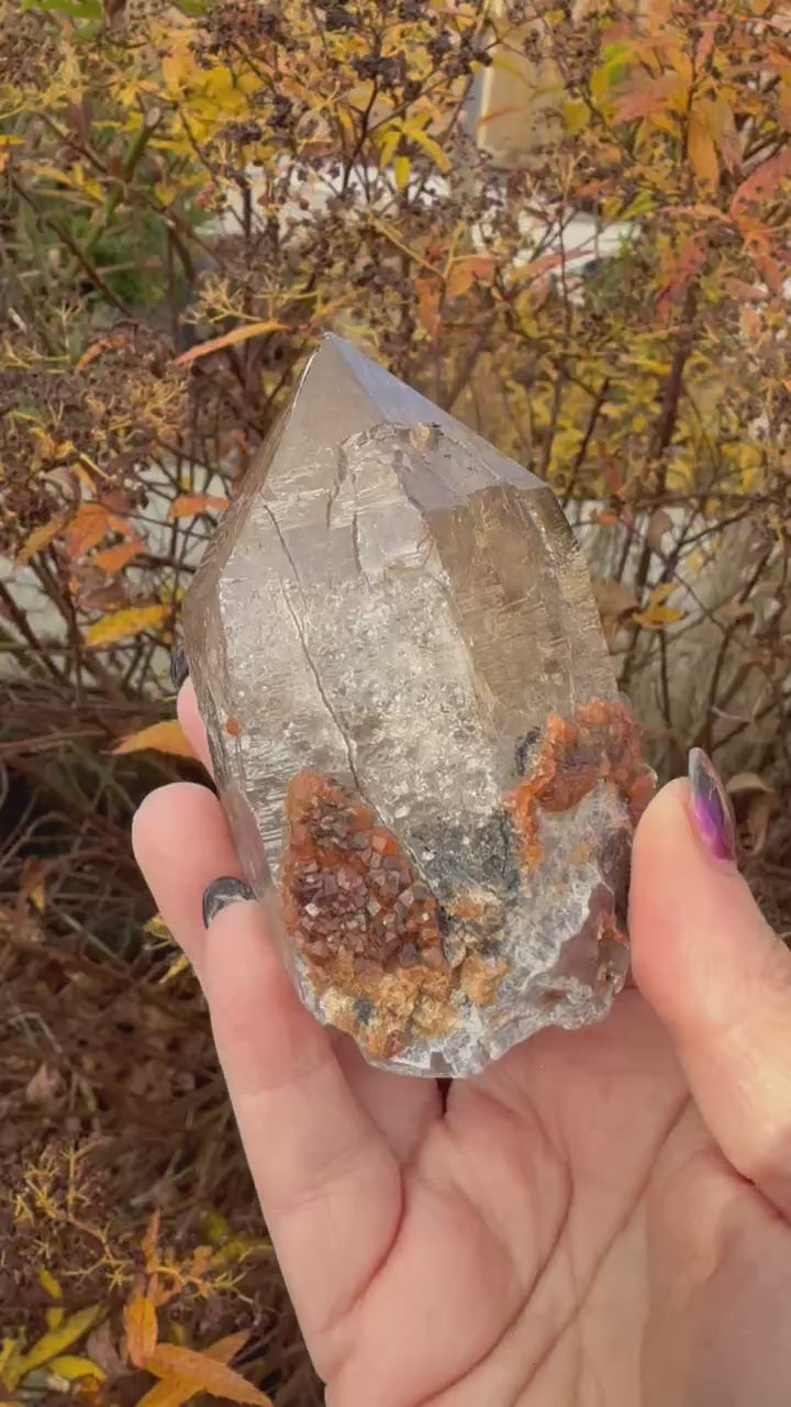Large Elestial Smoky Quartz with Garnet