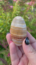 Load and play video in Gallery viewer, Aragonite Palmstone
