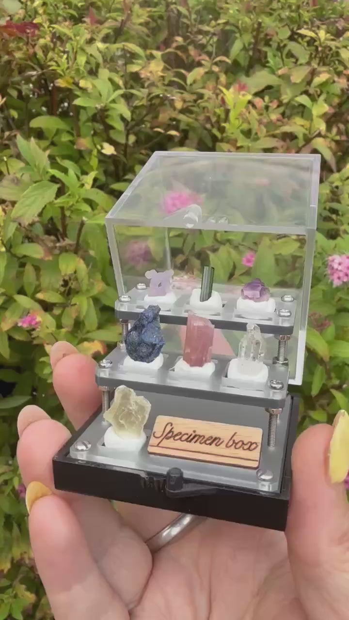 Complete Crystal Mineral Collection Box with Tourmaline