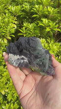 Load and play video in Gallery viewer, Rare Bicolour Fluorite Specimen from Zhejiang on Custom Light Box
