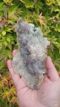 Load and play video in Gallery viewer, Amethyst Flower
