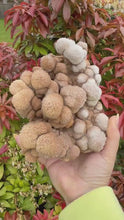 Load and play video in Gallery viewer, Unusual Formation Bubble Calcite from Wenshan
