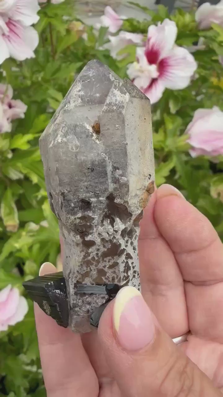 Elestial Quartz Sceptre with Tourmaline Self Healed Specimen from Namibia