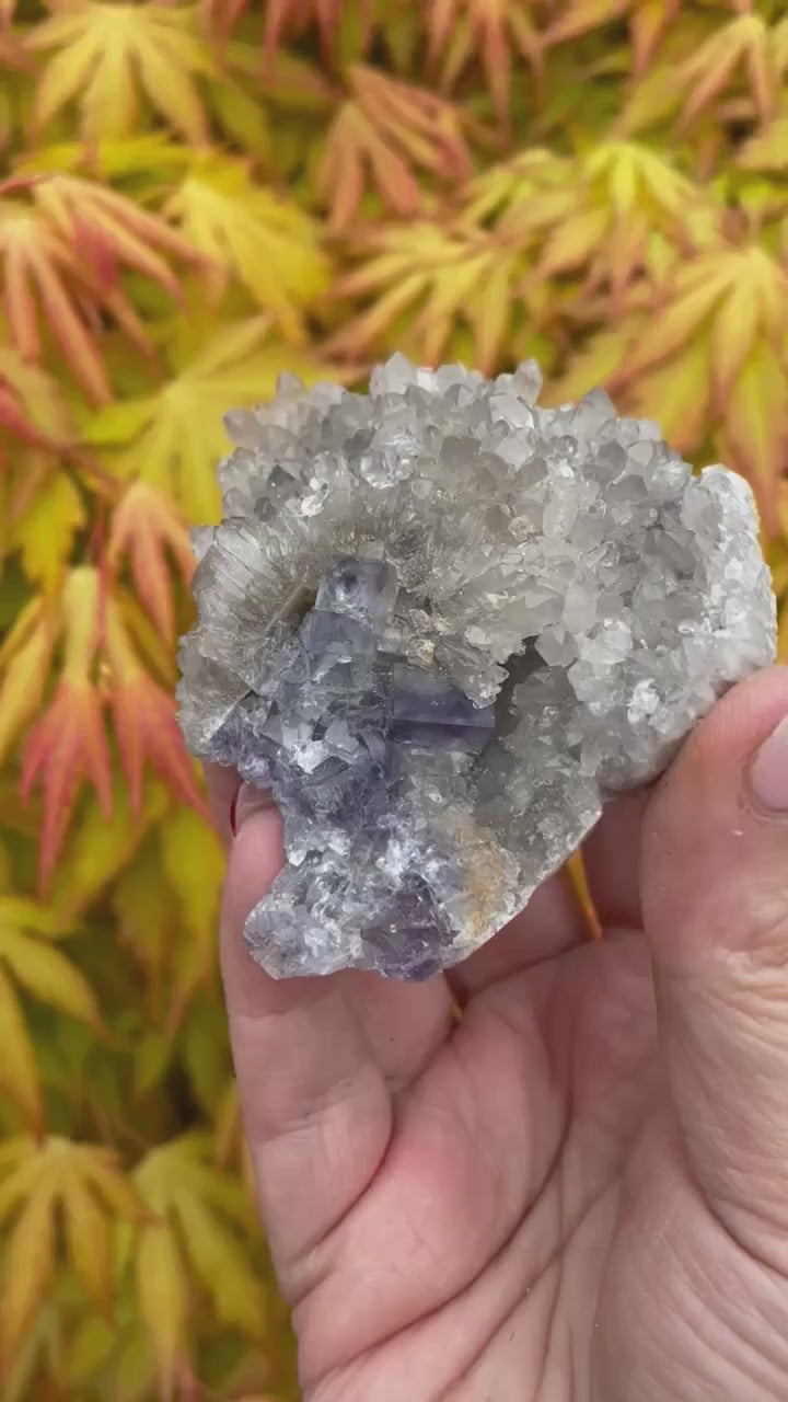 Porcelain Fluorite with Quartz Specimen
