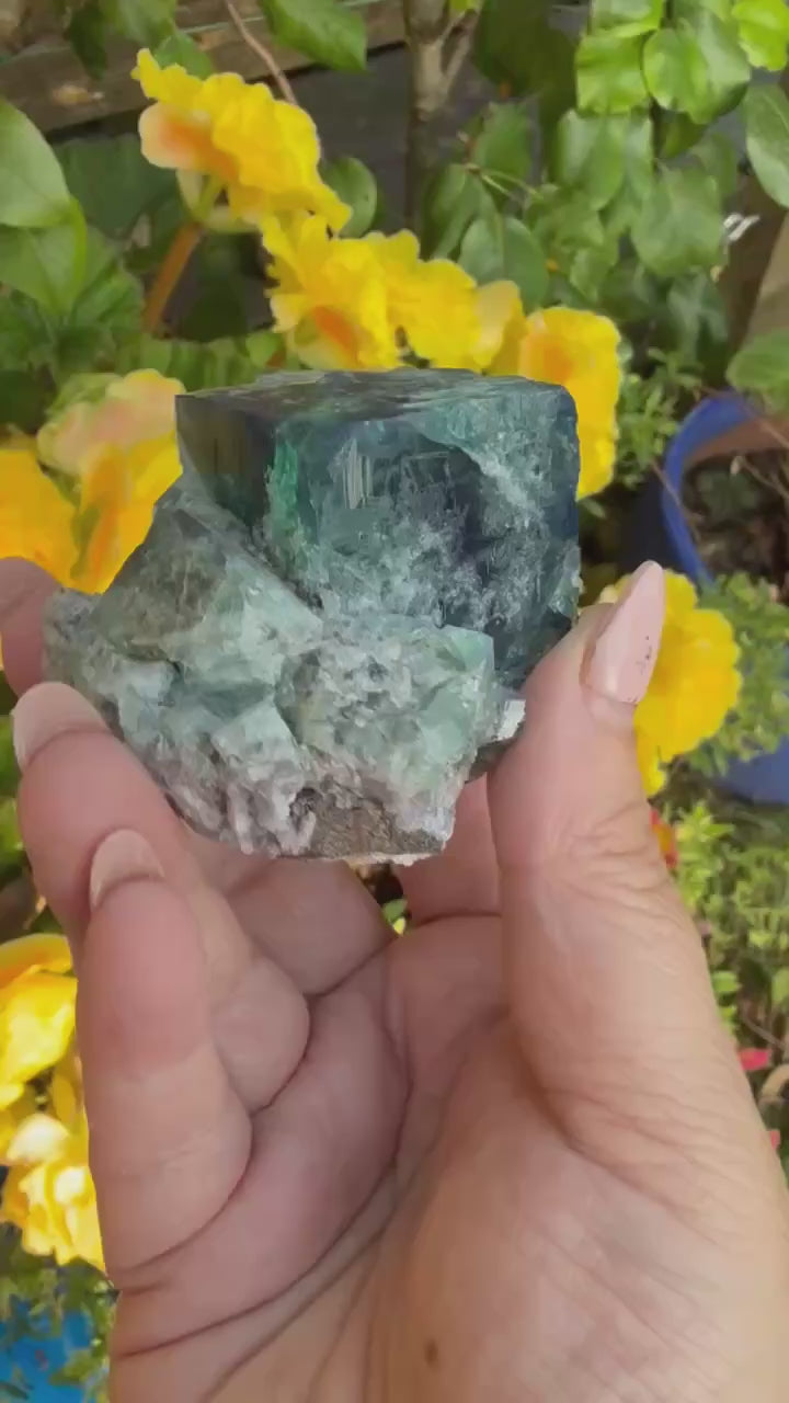 50 Year Pocket Fluorite Specimen from Weardale UK