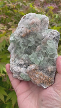 Load and play video in Gallery viewer, Clear green Fluorite on Quartz Specimen
