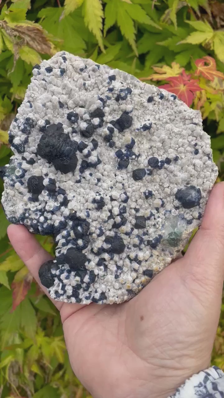 Blue Blueberry Fluorite Specimen