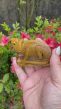 Load and play video in Gallery viewer, Tigers Eye Chameleon Carving
