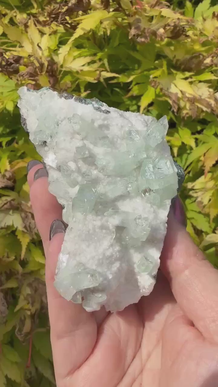 Complete Green Apophyllite Specimen from Jalagon