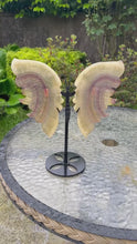 Load and play video in Gallery viewer, Yellow Fluorite Butterfly Wings Carving and Stand

