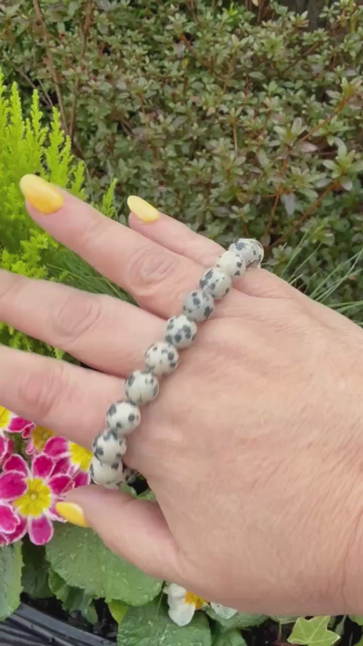 Dalmation Jasper Bracelet 8mm Beads