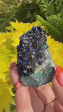 Load and play video in Gallery viewer, Gemmy Azurite and Malachite Specimen from Tsumeb
