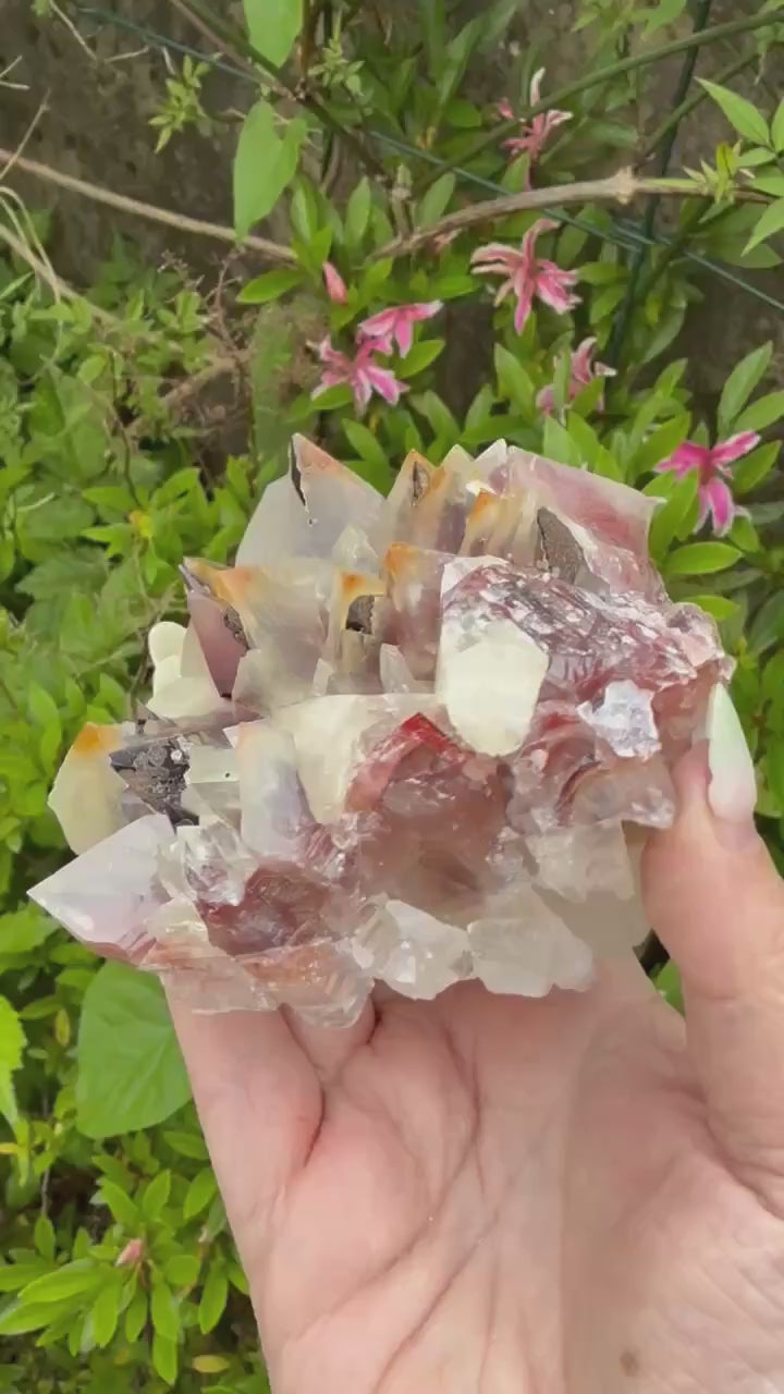 Large Bicolour Calcite from Chihuahua Mexico