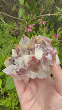 Load and play video in Gallery viewer, Large Bicolour Calcite from Chihuahua Mexico
