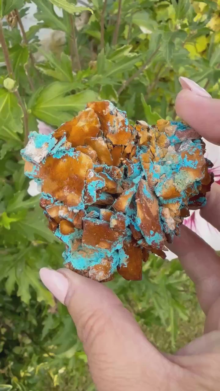Vibrant Shattuckite Specimen