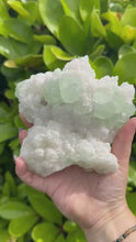 Load and play video in Gallery viewer, Large UV Reactive Stepped Mint Green Fluorite Specimen from Fujian
