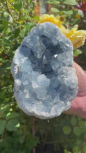 Load and play video in Gallery viewer, Top Quality Celestite Specimen
