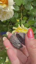 Load and play video in Gallery viewer, Complete Druzy Agate Nodule Pair Specimen
