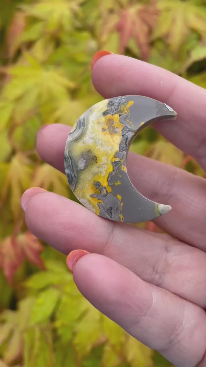 Bumblebee Jasper Moon