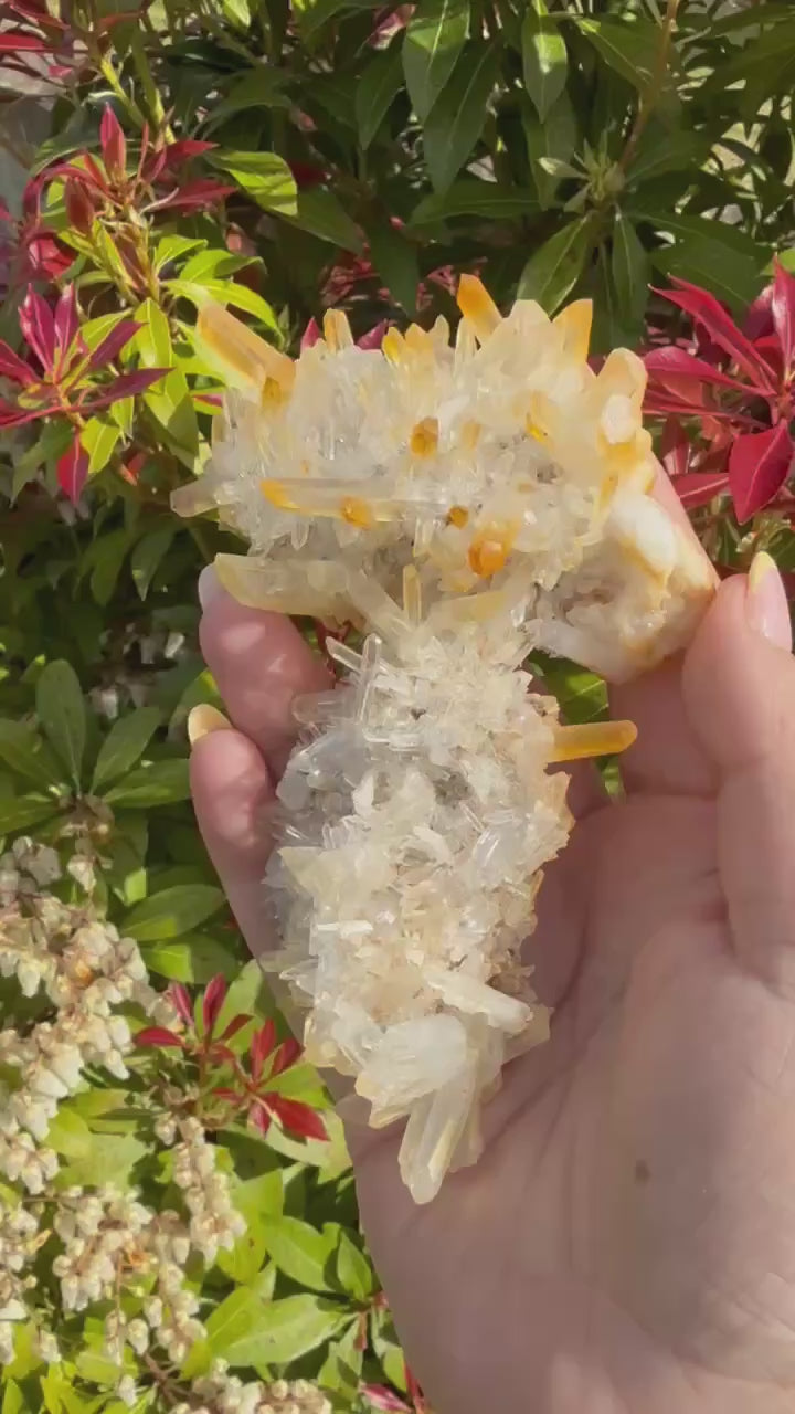 High Quality Golden Healer Quartz Specimen from Sichuan