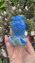 Load and play video in Gallery viewer, High Quality Lapis Lazuli Owl Carving
