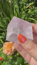 Load and play video in Gallery viewer, Uv Reactive Rare Lavender Icelandic Spa Calcite
