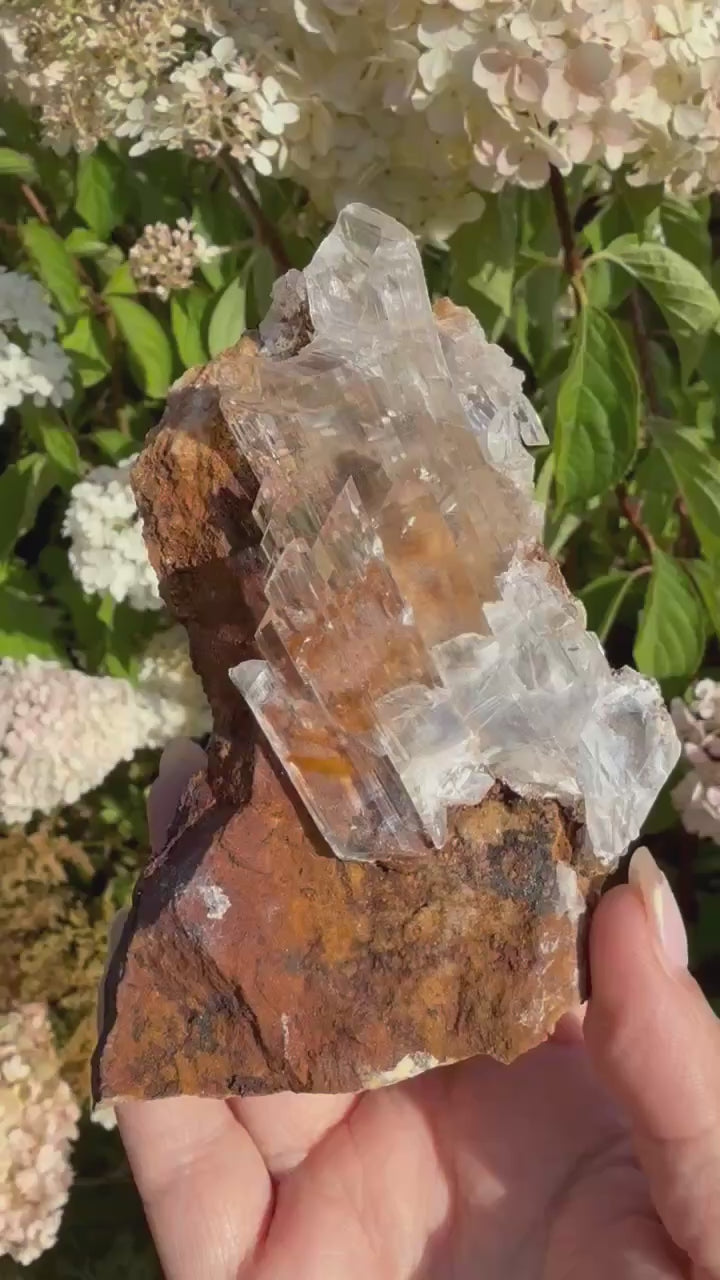 Quality Clear Gypsum Selenite Specimen from Guizhou