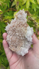 Load and play video in Gallery viewer, Amethyst Flower Specimen
