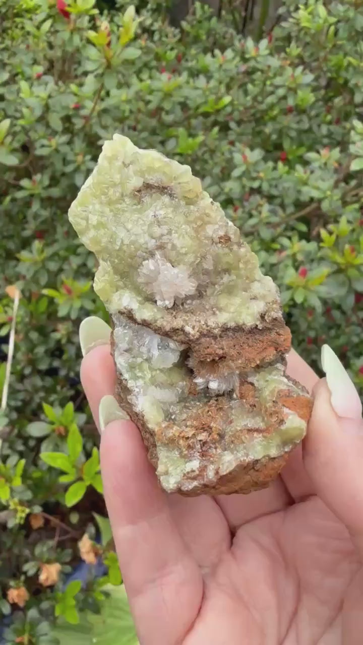 Uv Reactive Adamite Specimen Mexico