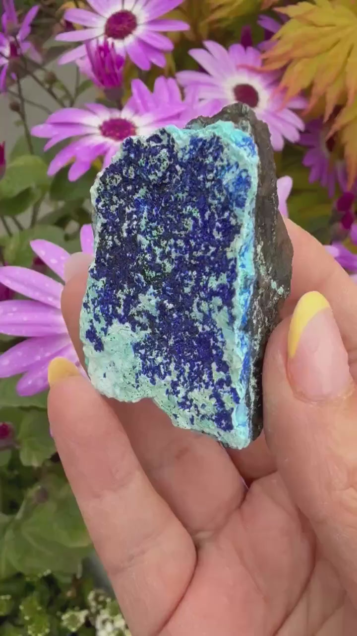 Vibrant Azurite and Gibbsite Specimen
