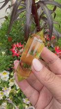 Load and play video in Gallery viewer, Natural Citrine Vogel with Phantoms and 24 Facets

